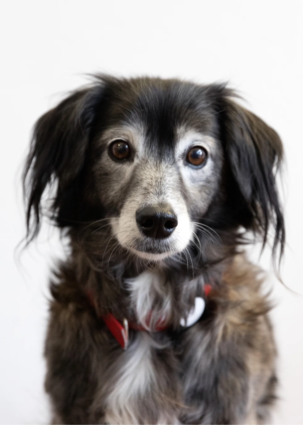 Portrait of Charlie Port