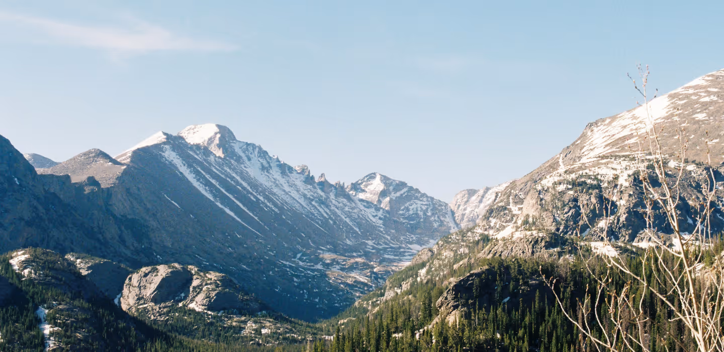 Snow-capped mountain range with green pine trees in the valley under a clear blue sky.