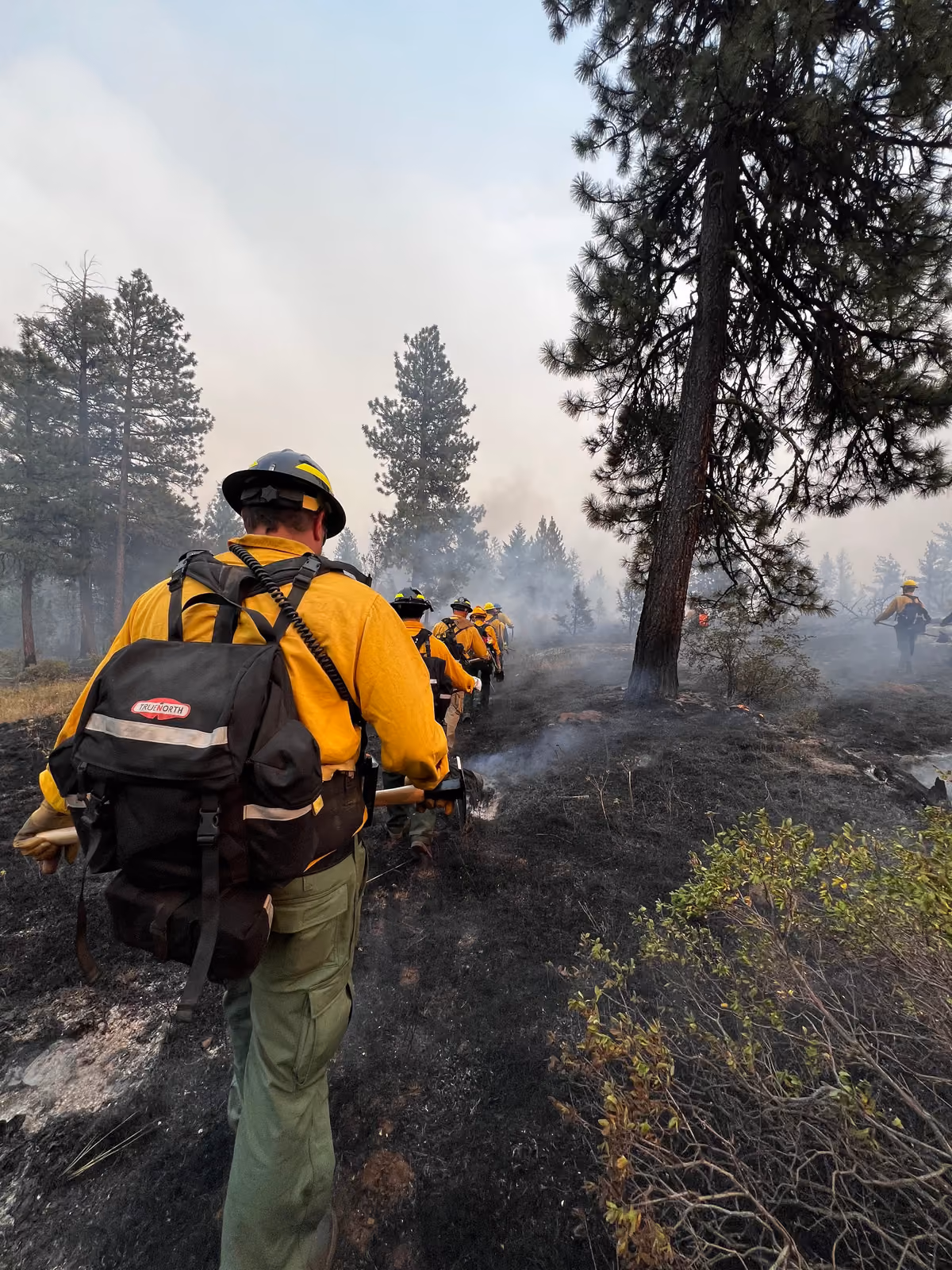 Crew of firefighters in yellow jackets walking through smoky, charred forest terrain during a wildfire.