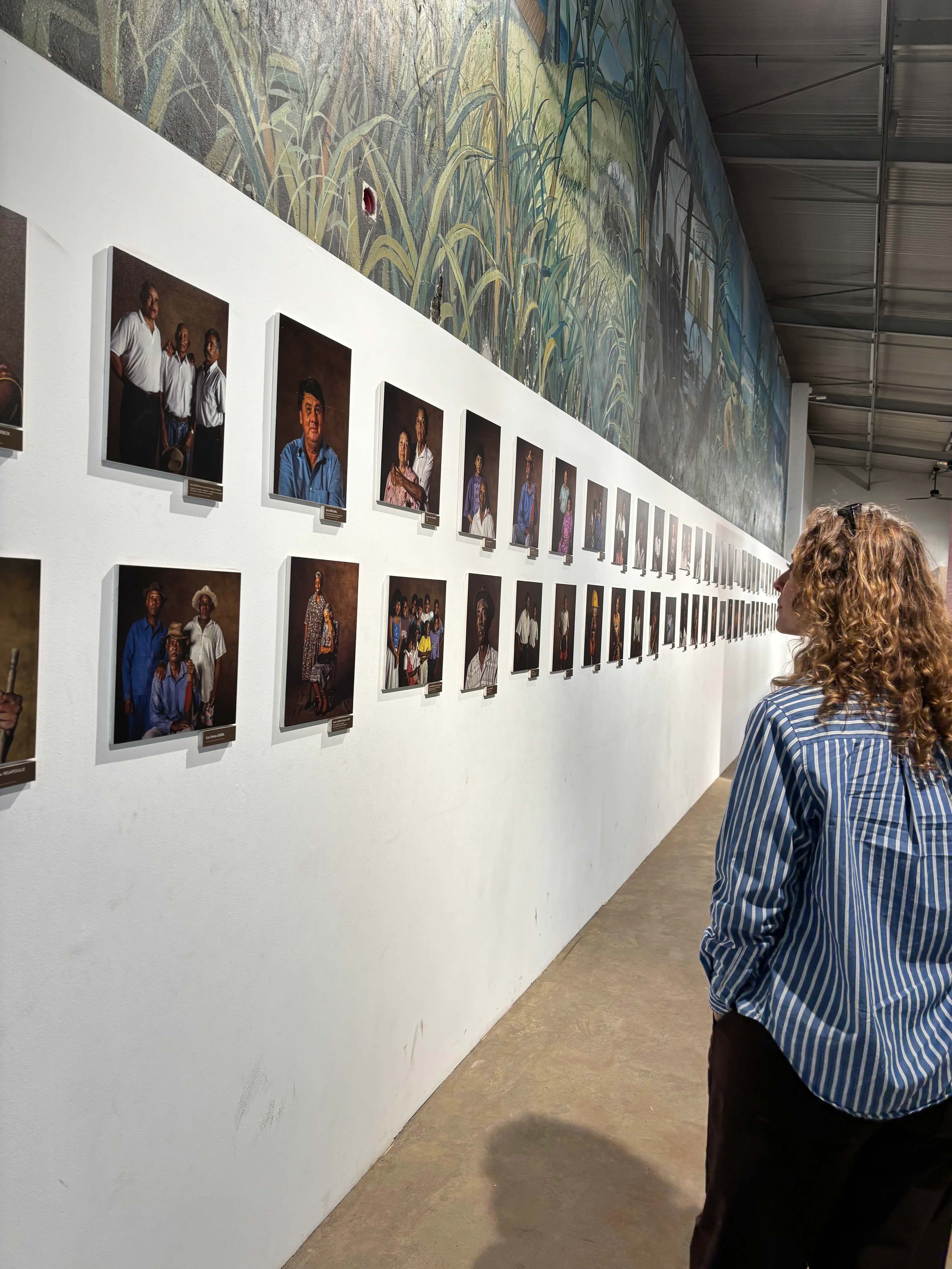 Femme regardant une exposition de portraits photographiques accrochés le long d'un mur