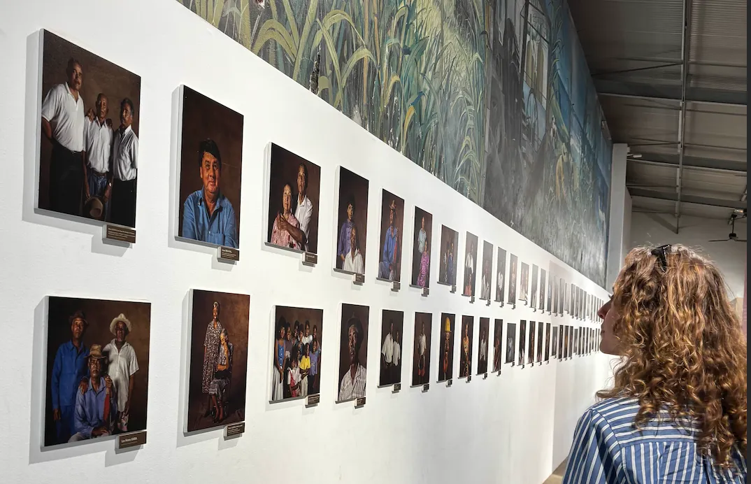 Femme regardant une exposition de portraits photographiques accrochés le long d'un mur