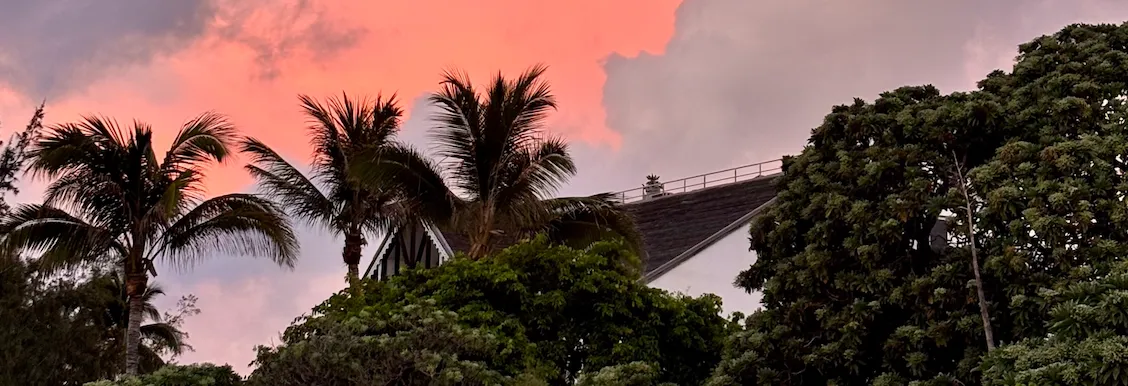 Palmiers et végétation tropicale sous un ciel rose au coucher du soleil