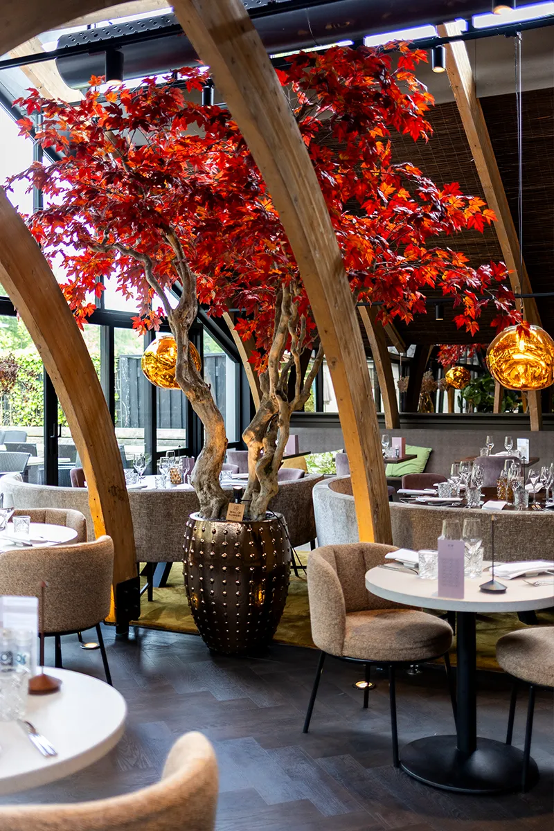 Restaurantzaal met houten boogconstructie, rode esdoorns en amberen glazen bollampen als onderdeel van een horeca lichtplan