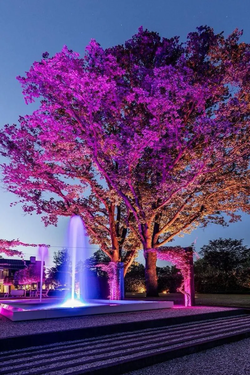 Grote boom verlicht met roze LED-grondspots naast blauwe verlichte fontein in luxe tuin bij avond