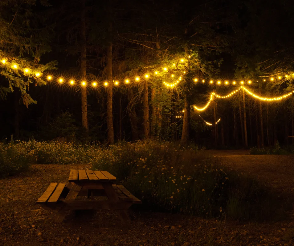 Single Campsite