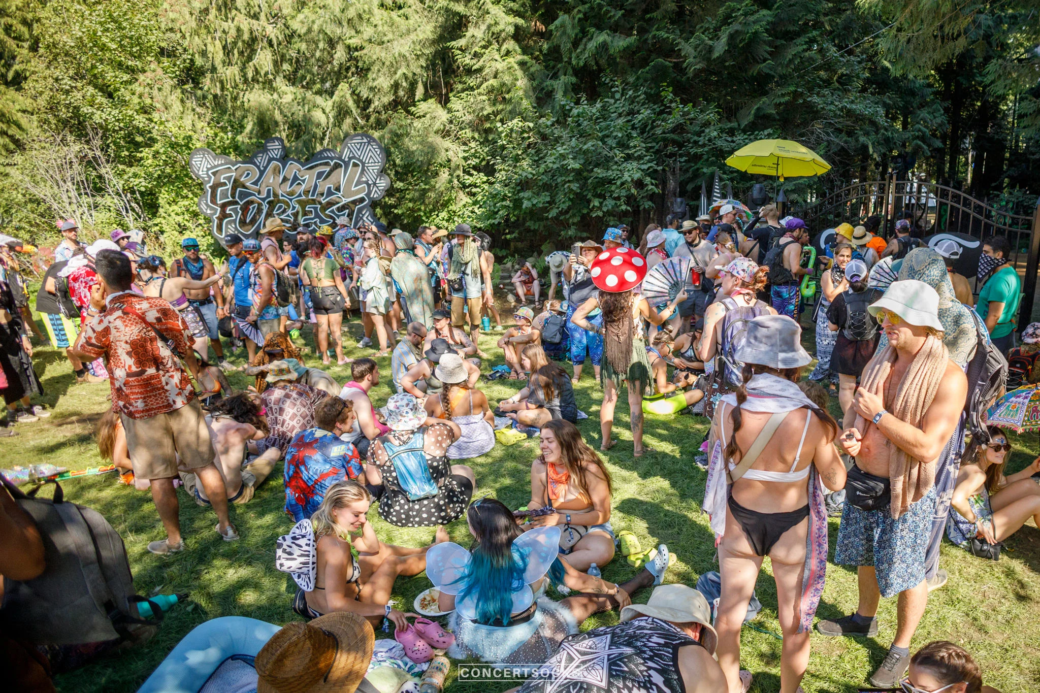 Shambhala Music Festival community enjoying lush green grass and shade with friends outside of the Fractal Forrest bounds 