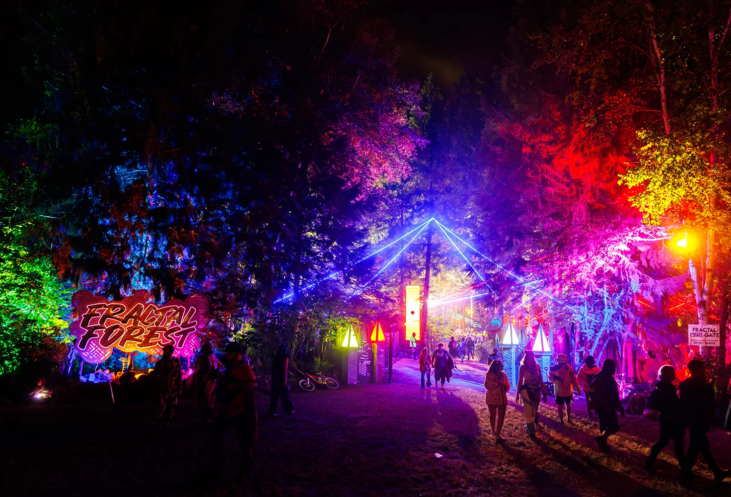 2025 Fractal Forest Lineup