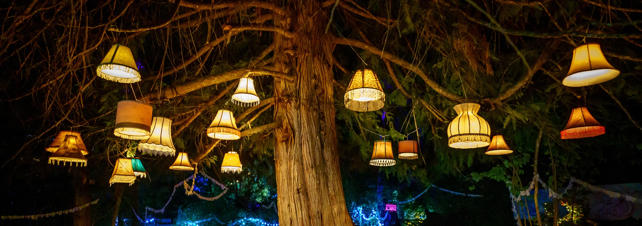 Experience dance music, house music, trap, funk and more at Shambhala Music Festival under the best art installations of the year
