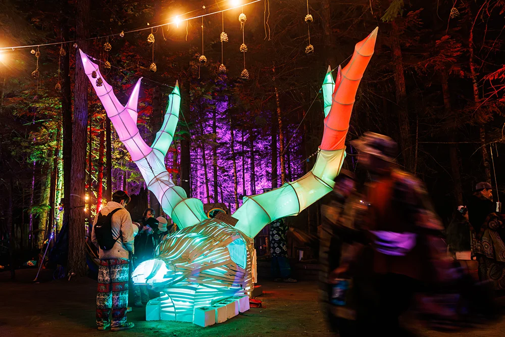 Dancing at Shambhala Music Festival