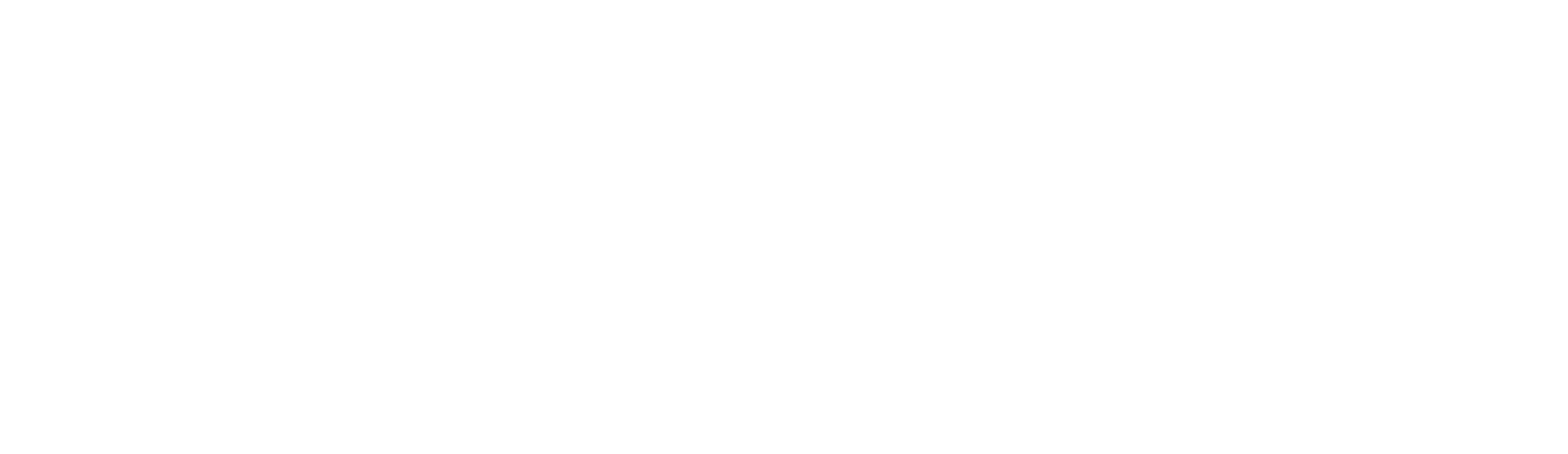 Function Software