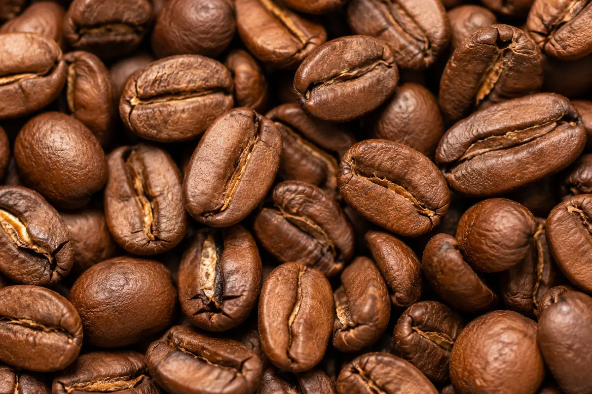 Organic medium roast coffee beans