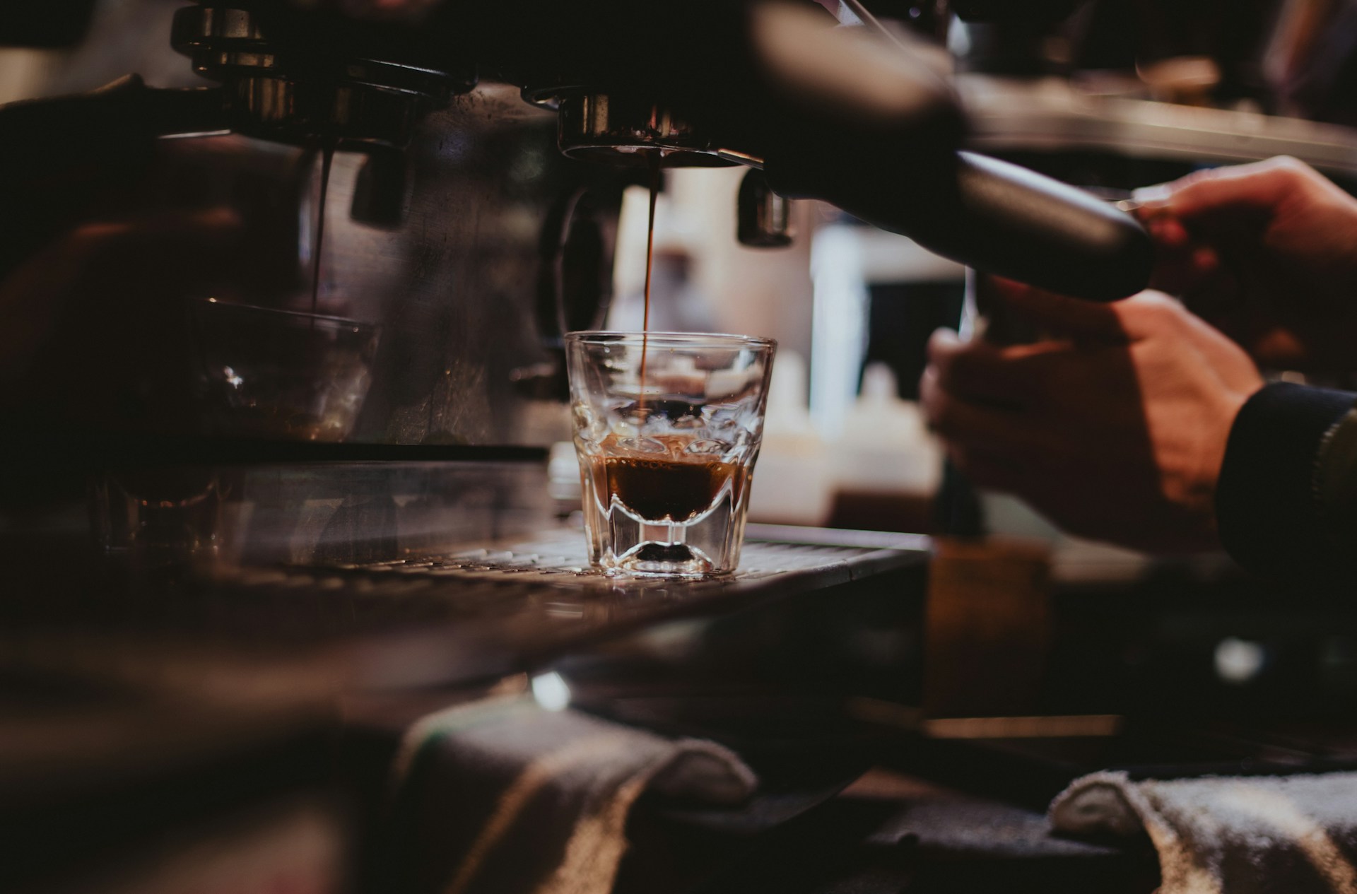 Roasted coffee beans, from bean to brew