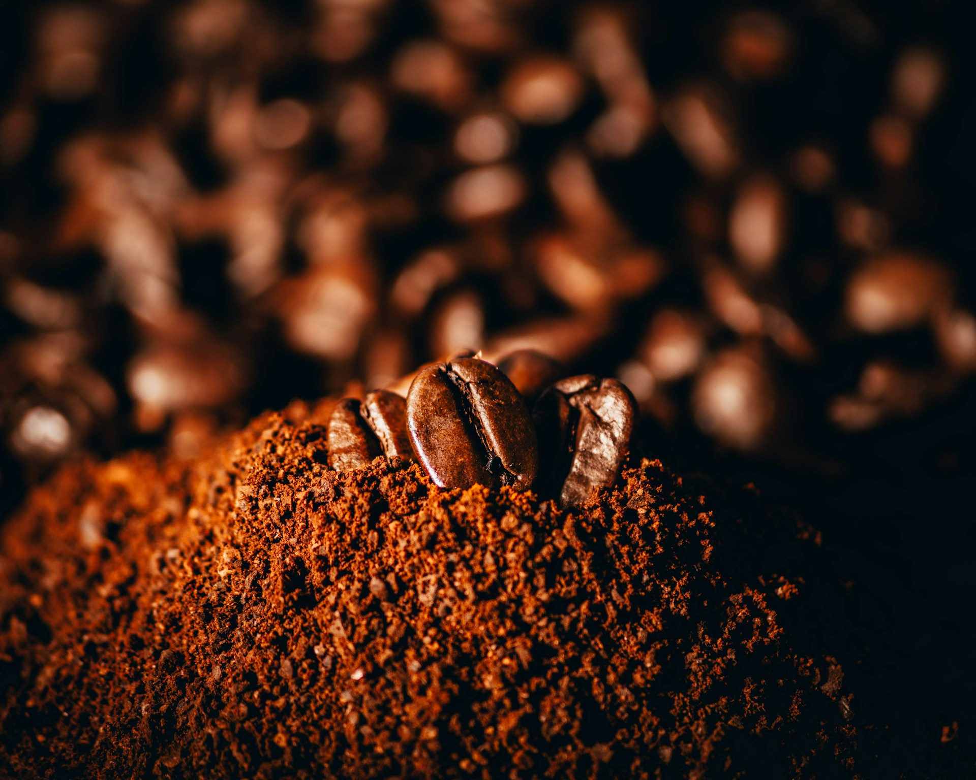 Coffee beans representing origins from around the world