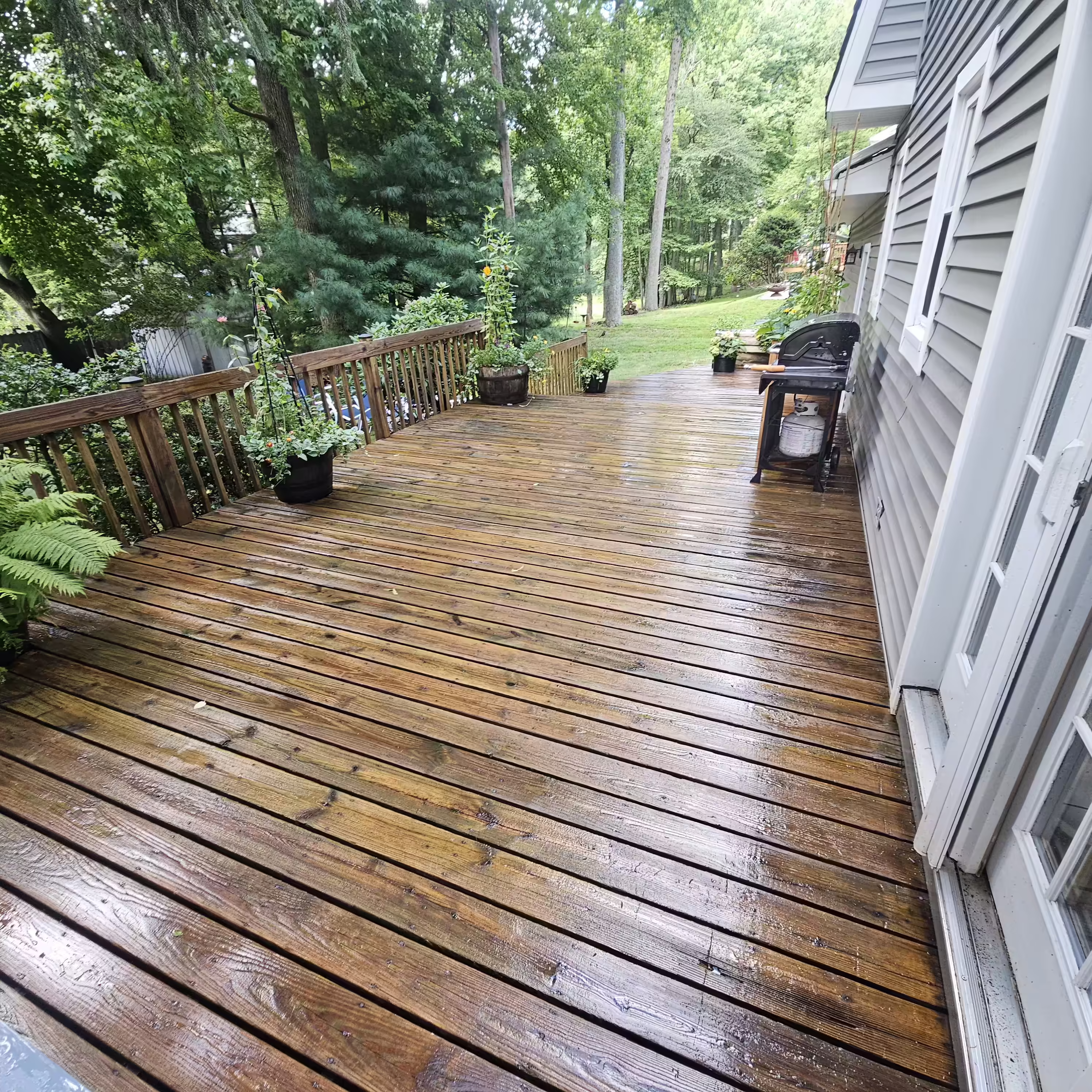 Wet wooden deck attached to a house with potted plants along the railing and a grill on the side, overlooking a green backyard with trees.
