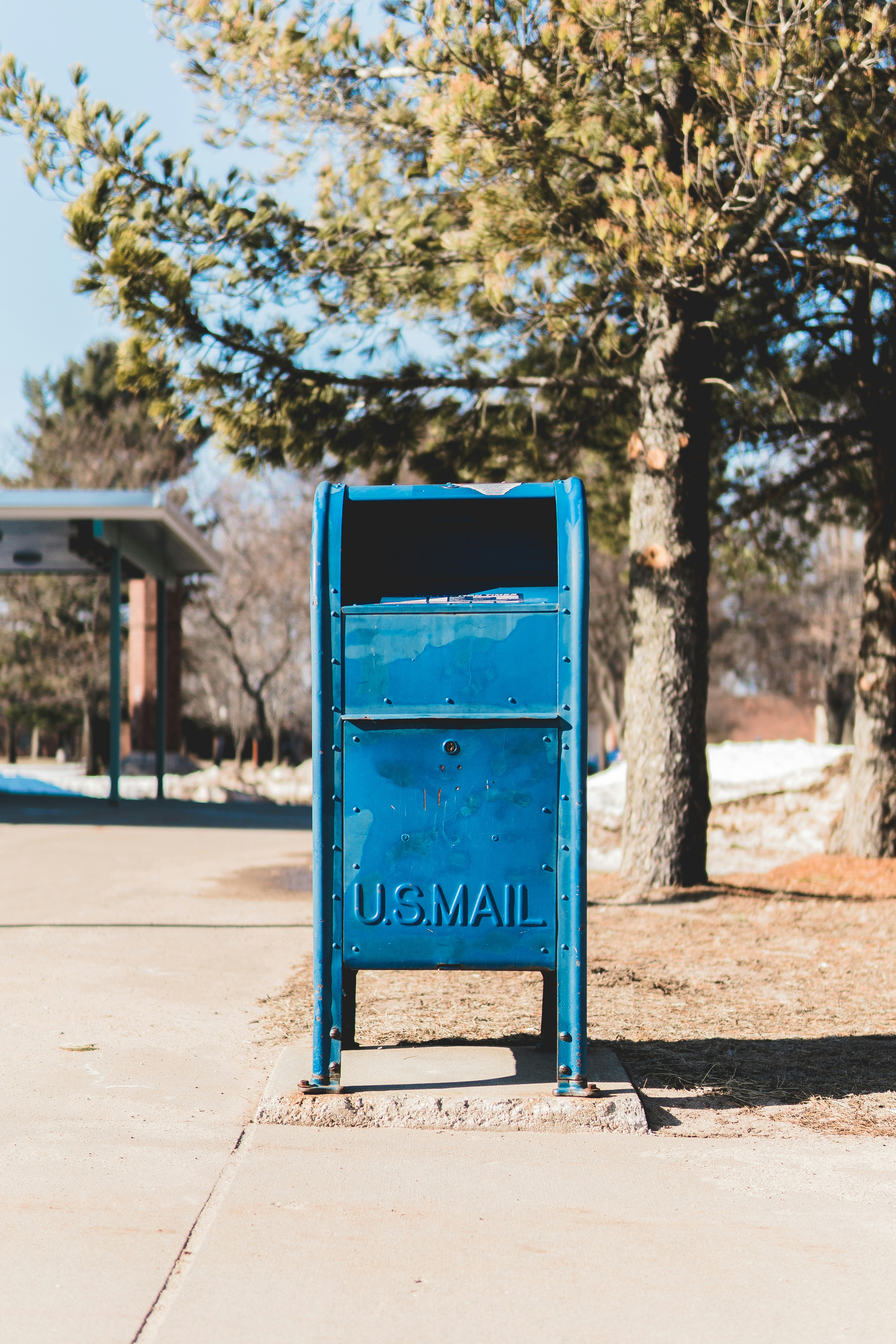 Blue U.S. mail mailbox on a sidewalk surrounded by trees and light snow patches.