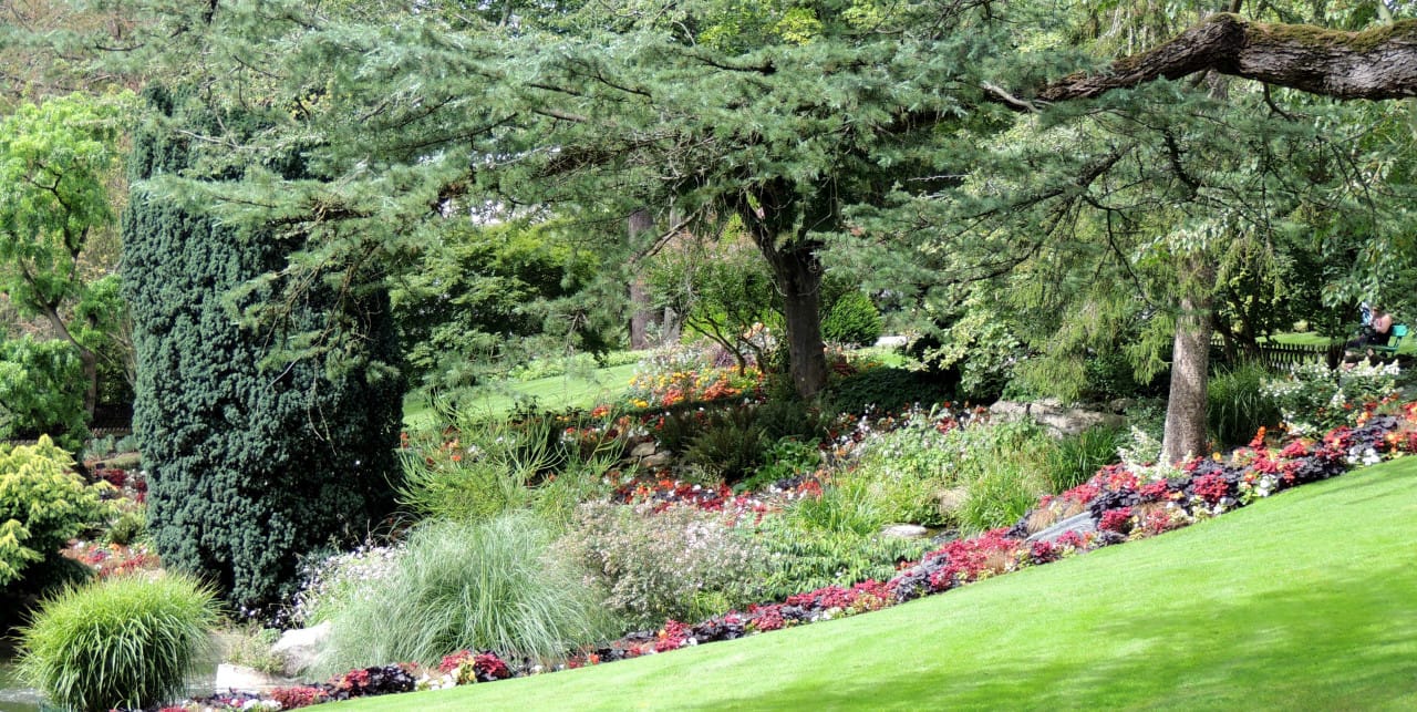 jardin des plantes angers