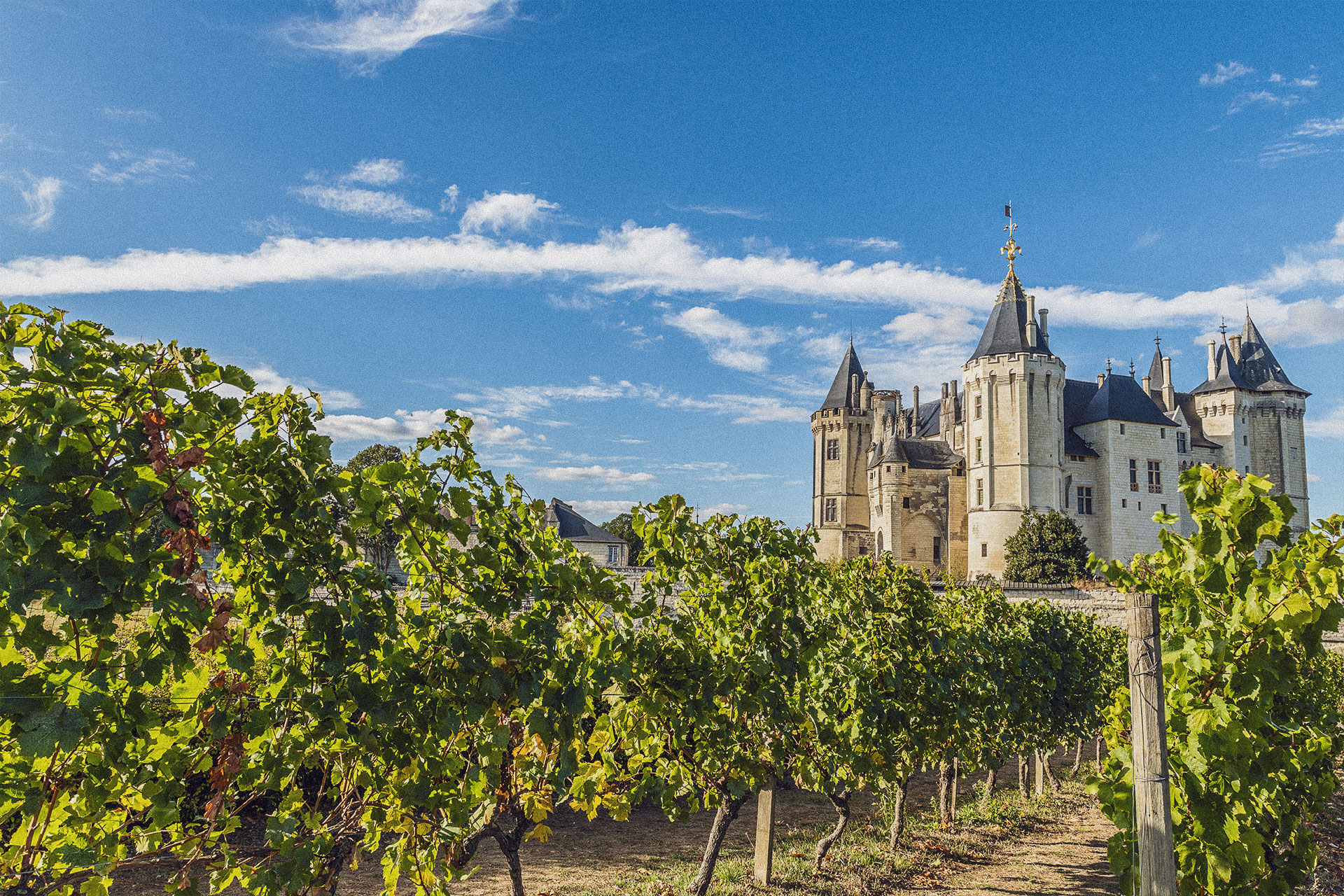 Vue du Château de Brissac depuis les vignes environnantes