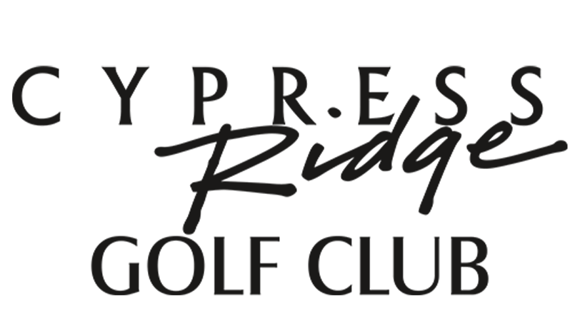 Cyper golf club 