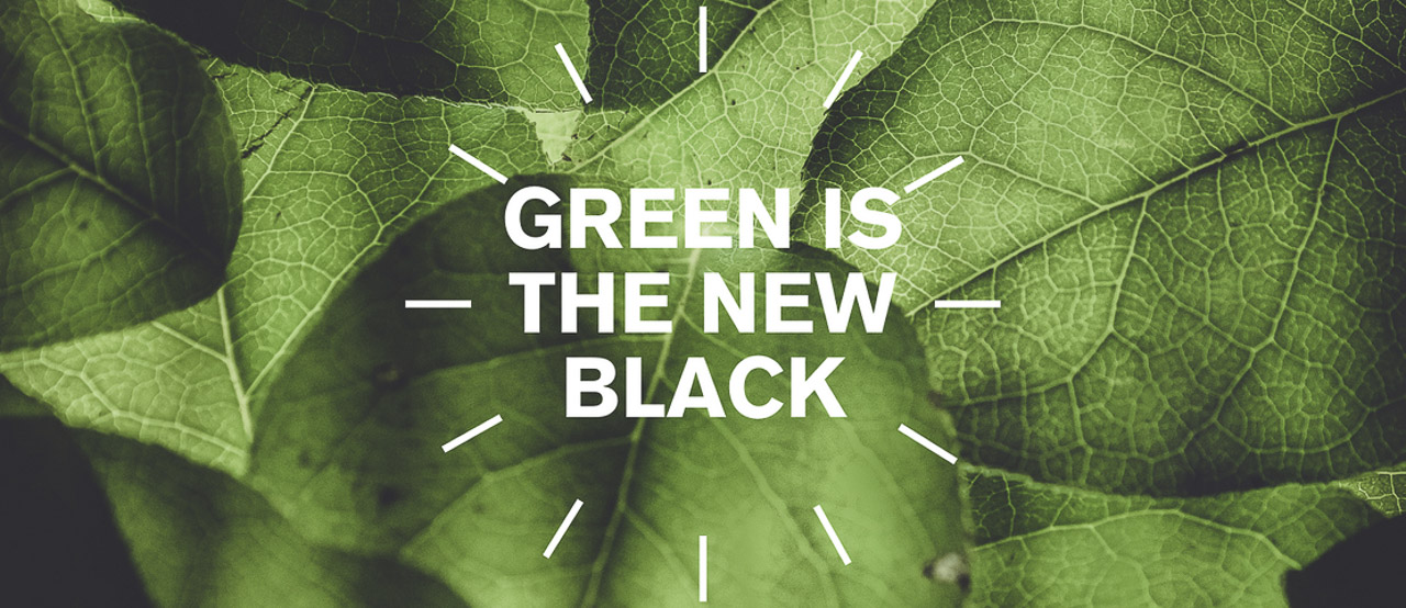 Du hast die Wahl: Choose sustainability!