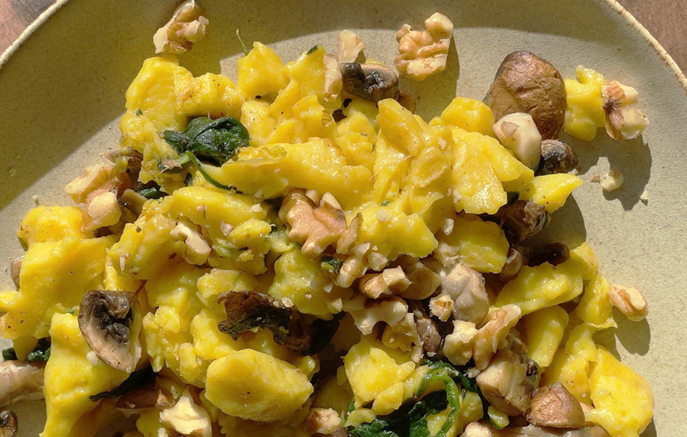 Veganer Ei-Ersatz von GREENFORCE mit Pilzen und Nüssen