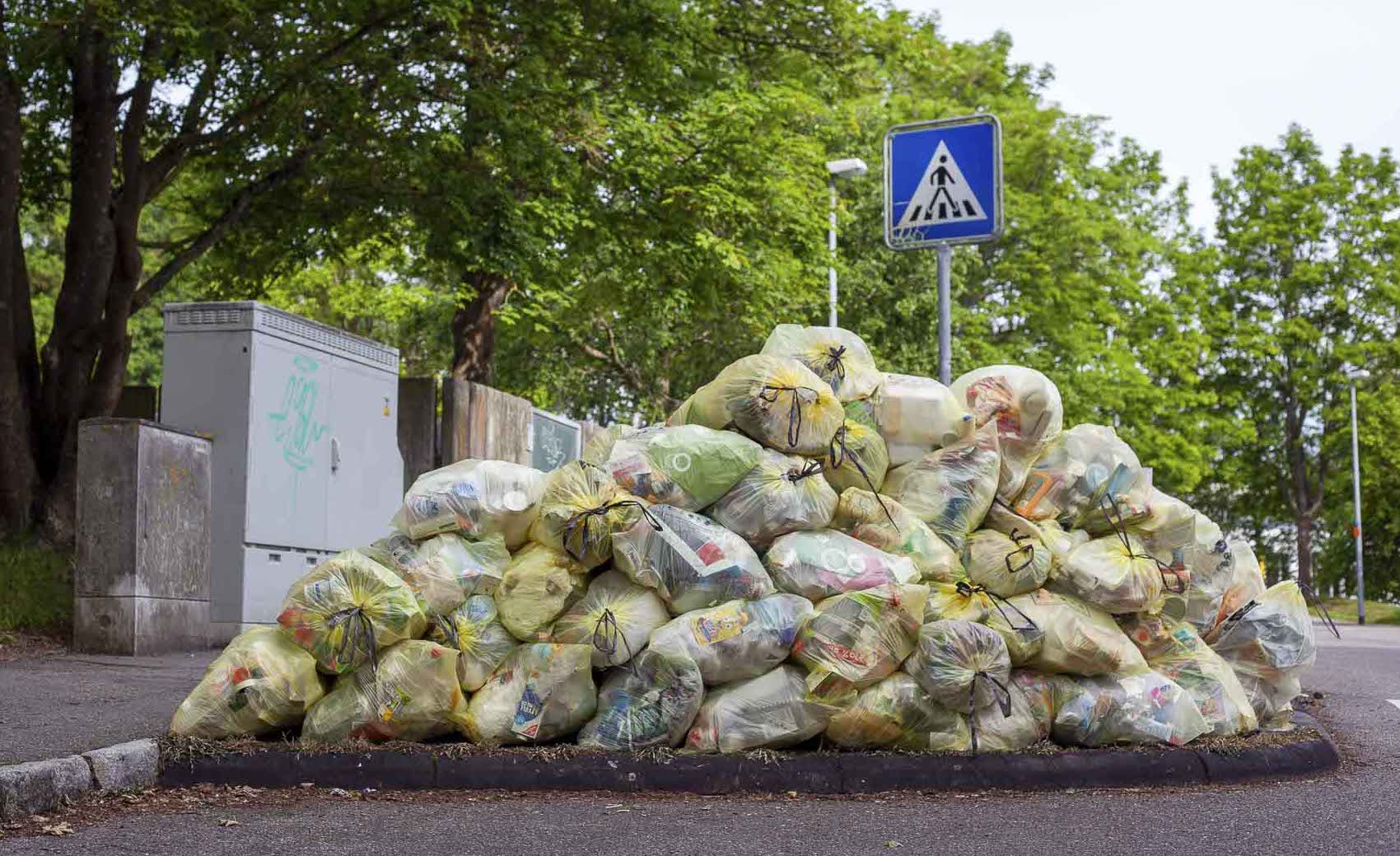Mülltrennung Zuhause: so geht es richtig