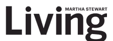 Black stylized text logo reading Livng without the letter i