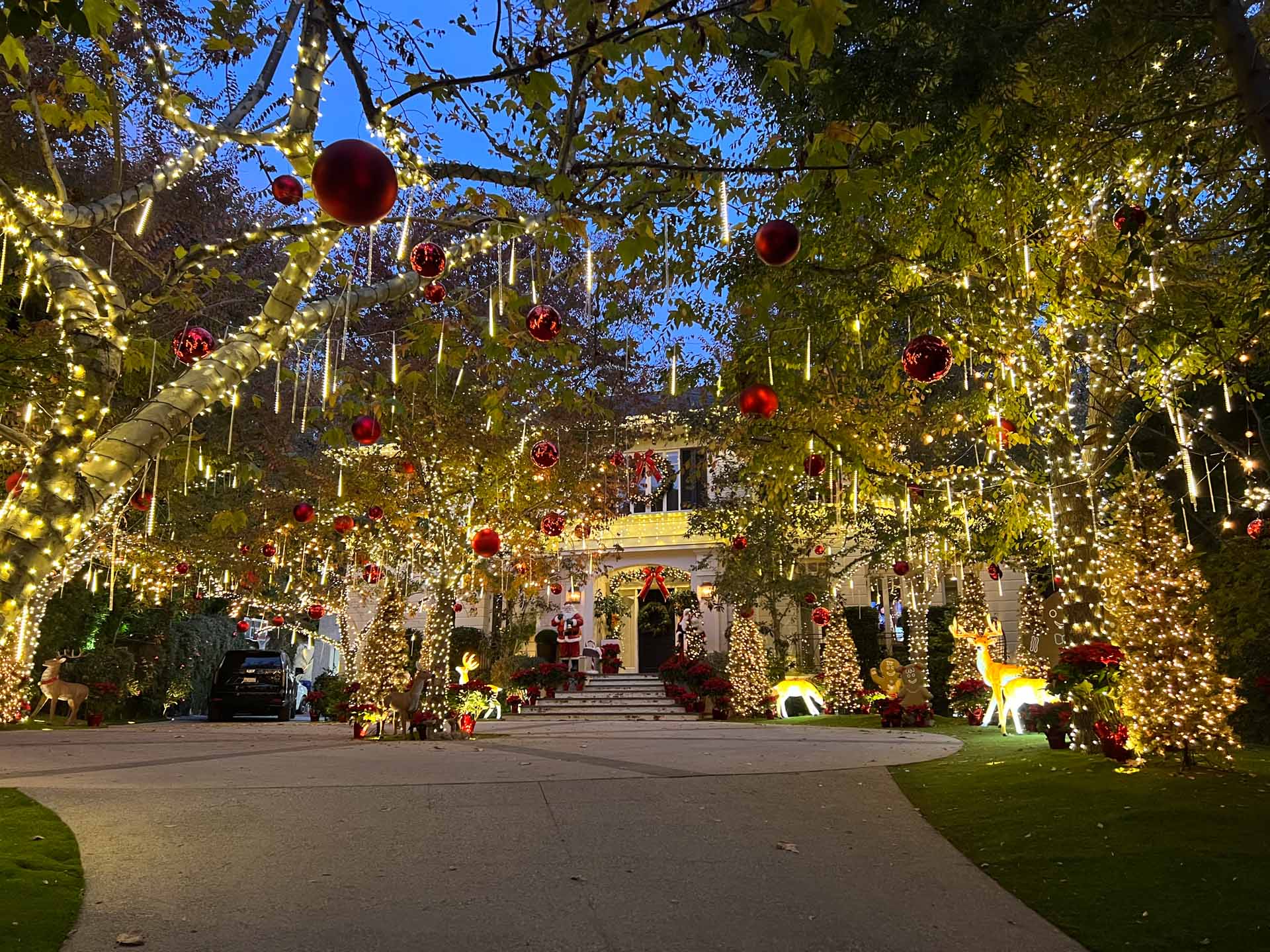 Driveway and trees decorated with Christmas lights, red ornaments, and festive figures at dusk.