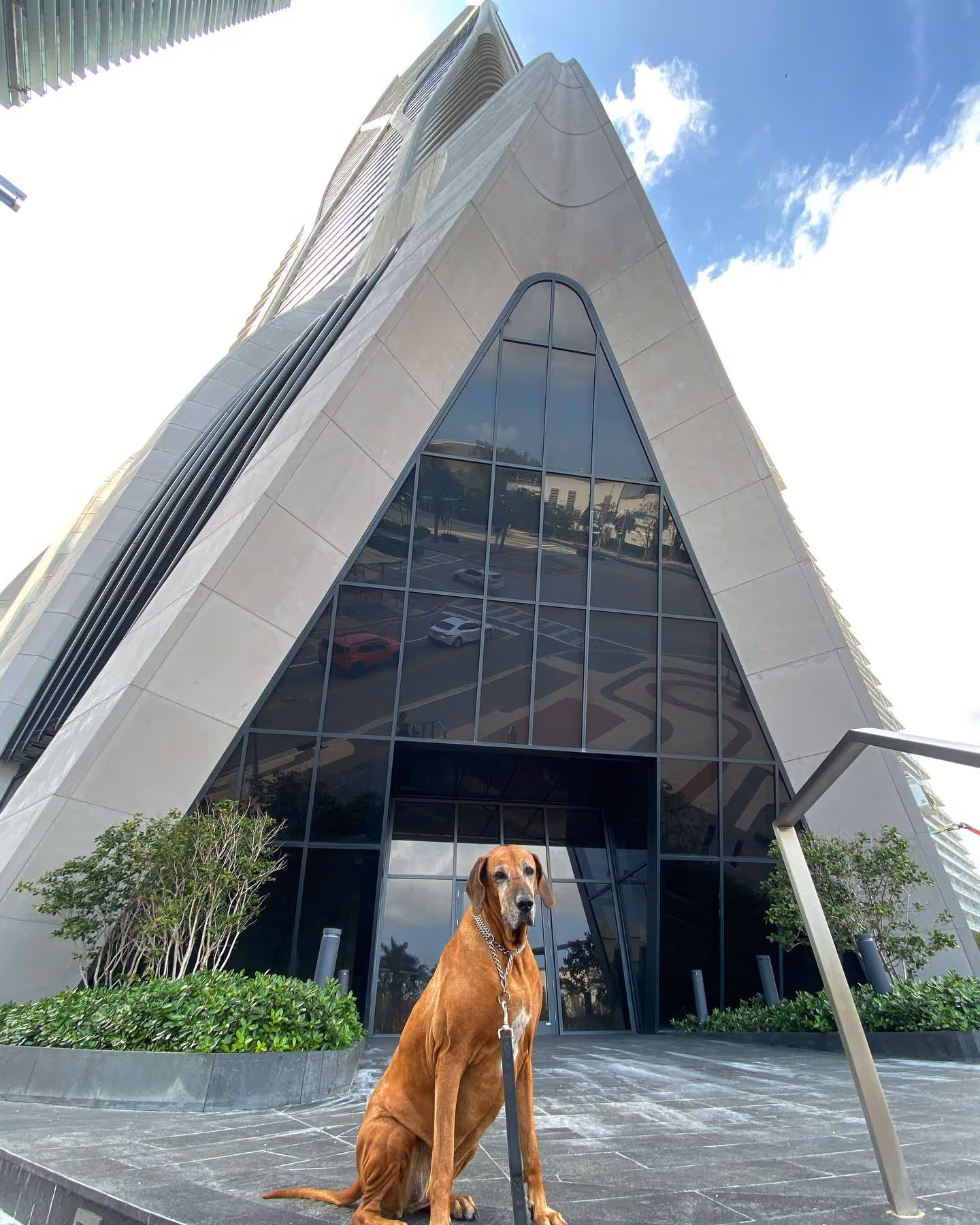 A tall, brown dog standing in front of a huge triangular-shaped building, with the front of the building being a big, black window.