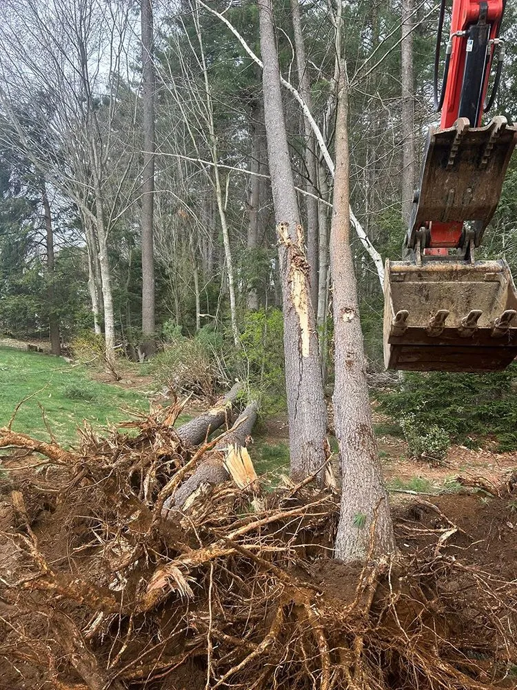 [background image] image of construction equipment (for a construction company)