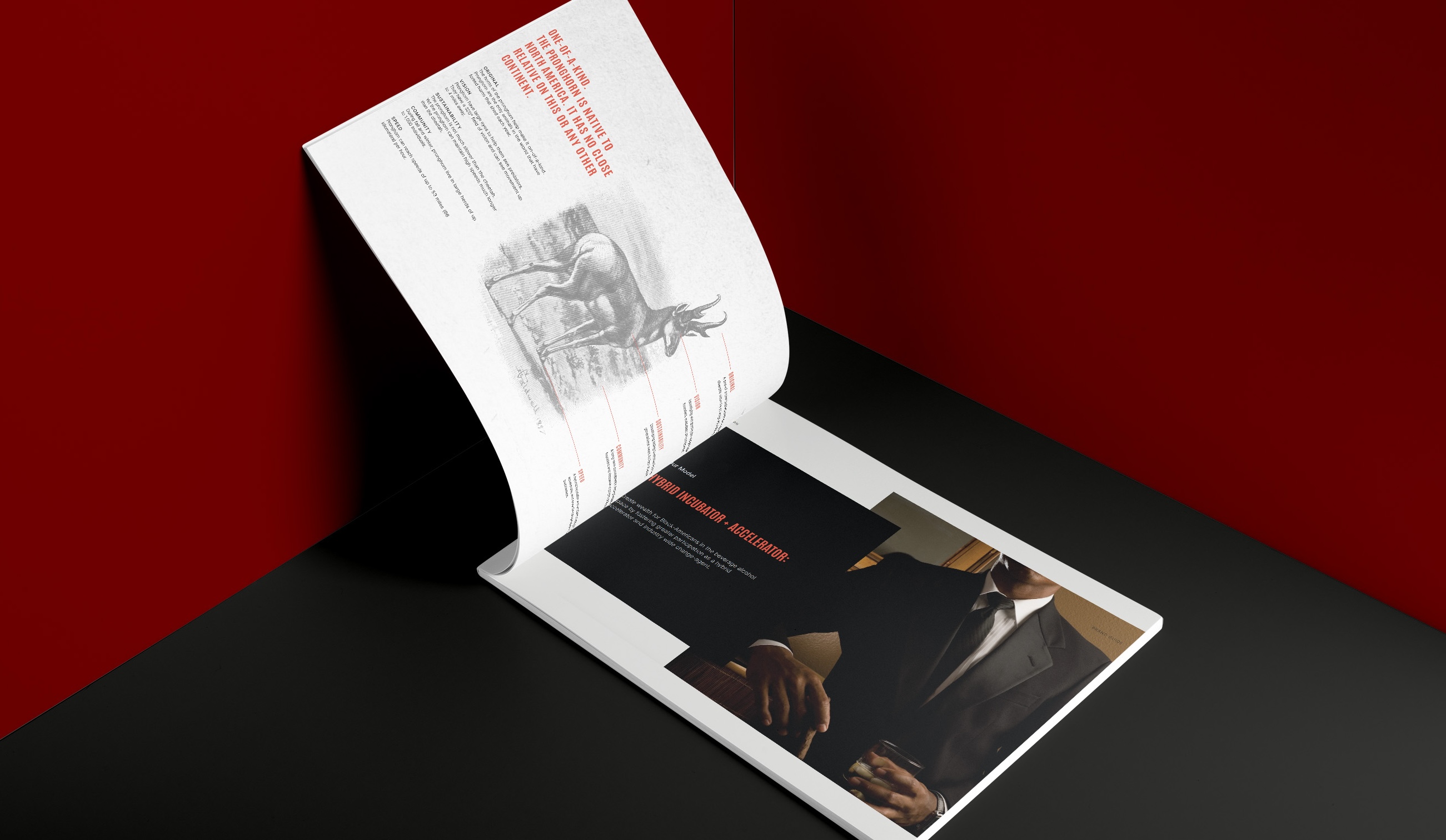 Pronghorn brand style guide created by Tantrum Agency