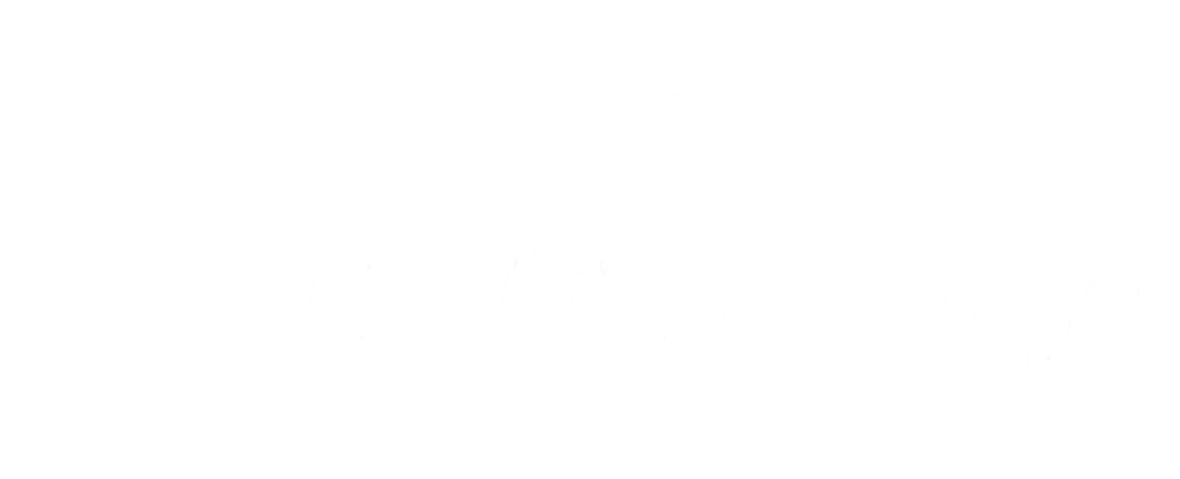 Capital One logo