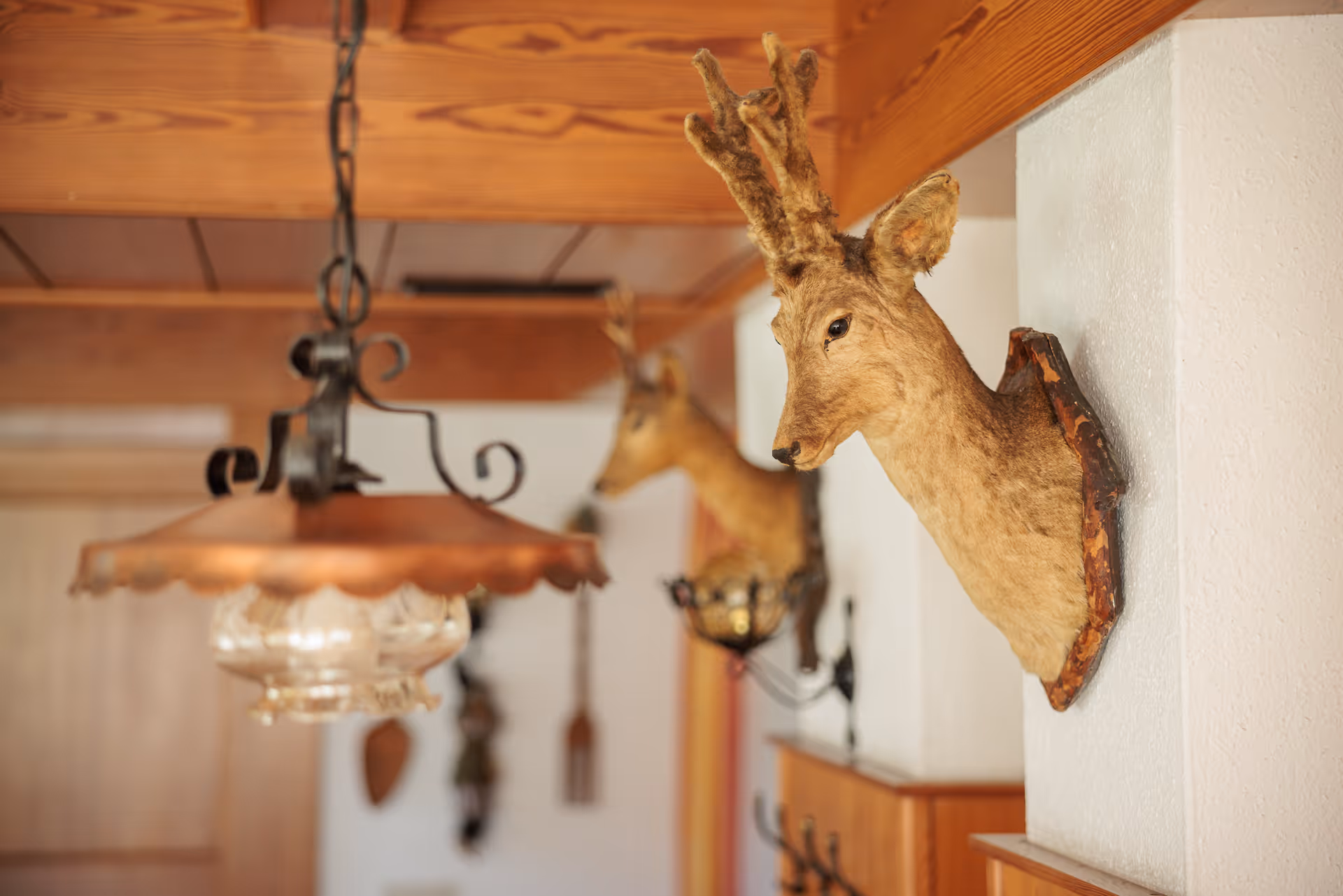 Jagdtrophäen und rustikale Kupferlampe in der urigen Gaststube des Alpengasthof Postl