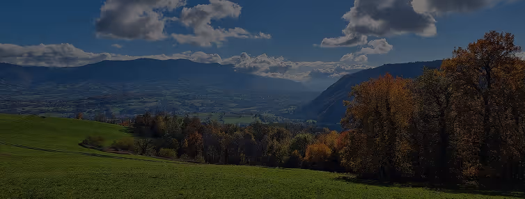 Paysage vallonné avec pelouse verte, arbres d’automne et ciel bleu partiellement nuageux.