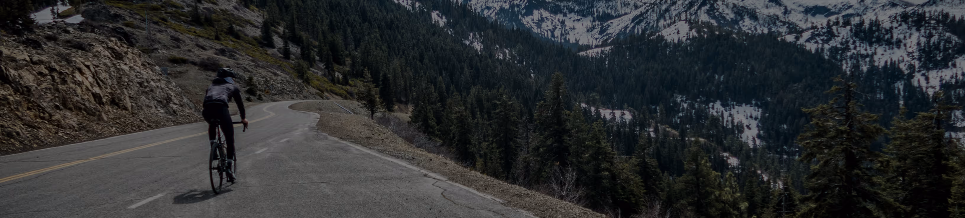 Cycliste sur une route de montagne sinueuse entourée de forêts et de sommets enneigés.