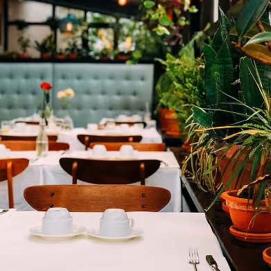Tables set with white cups and saucers in a green plant-filled café with wooden chairs.