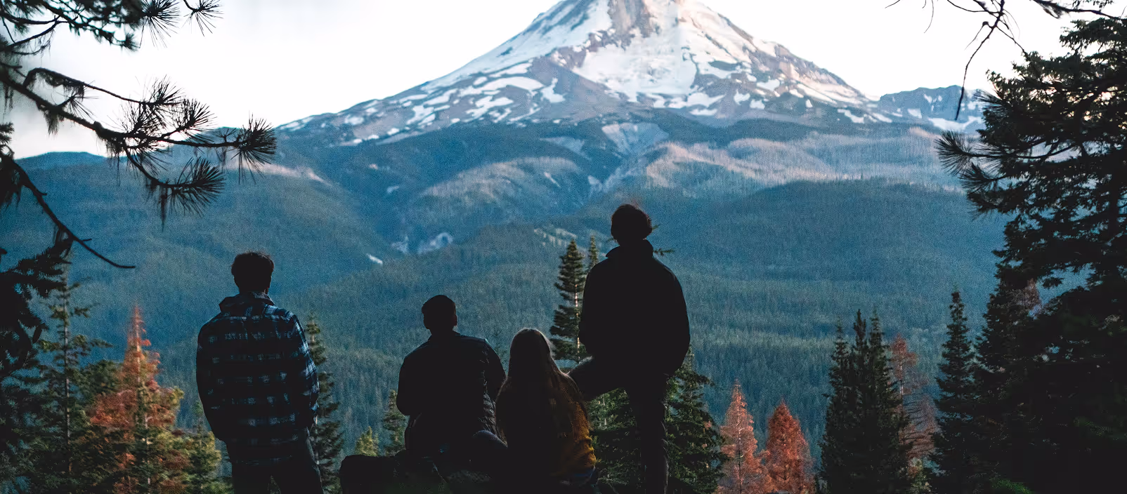 Four people looking at a snow-capped mountain in the distance surrounded by fir trees in a forest.