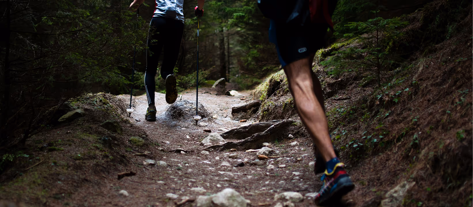 Two runners in a forest climbing a rocky trail with hiking poles.