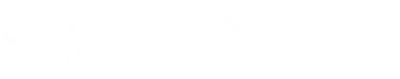 Swarovski Logo