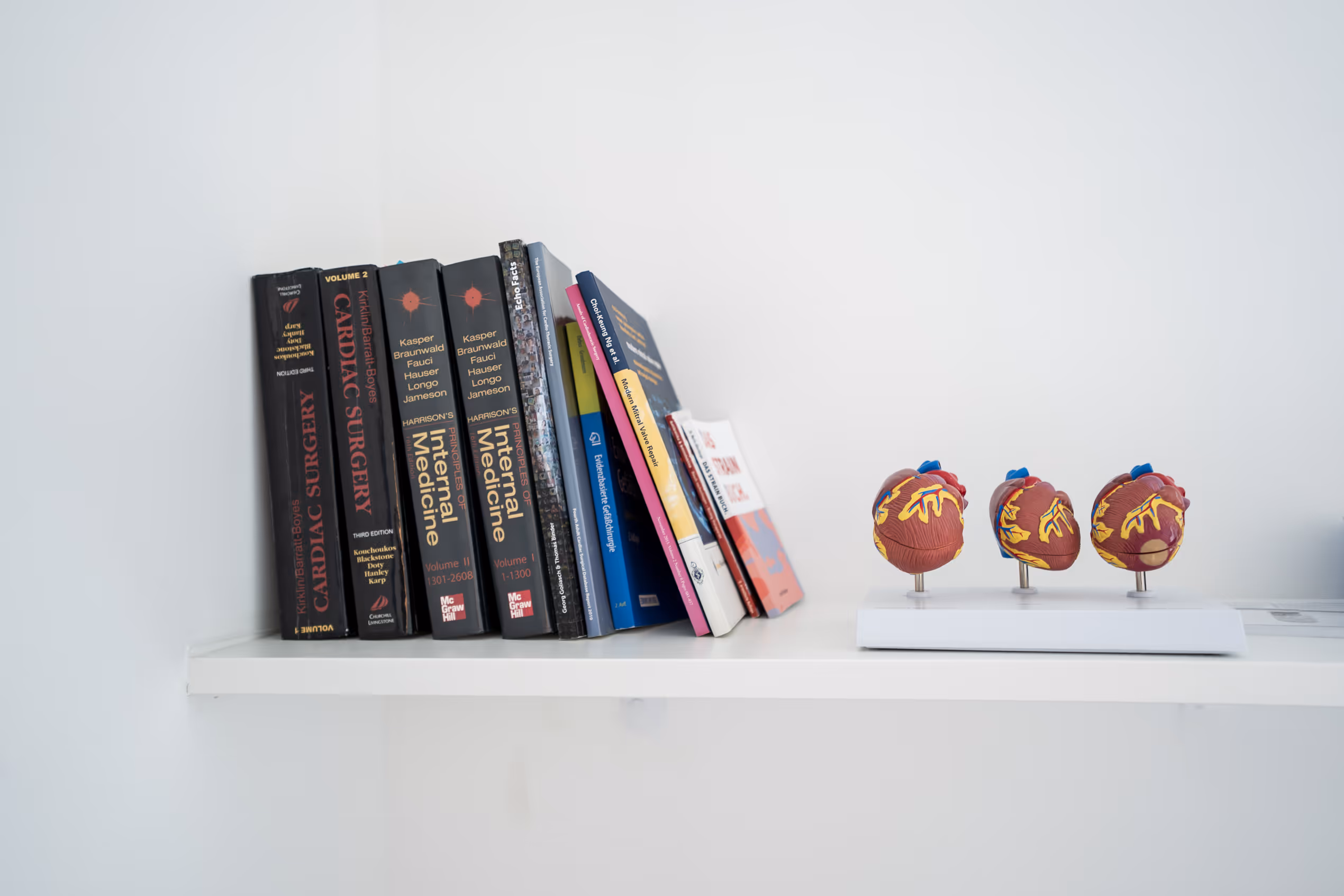 Regal mit medizinischen Büchern und einem anatomischen Modell eines Herzens in drei Ansichten.