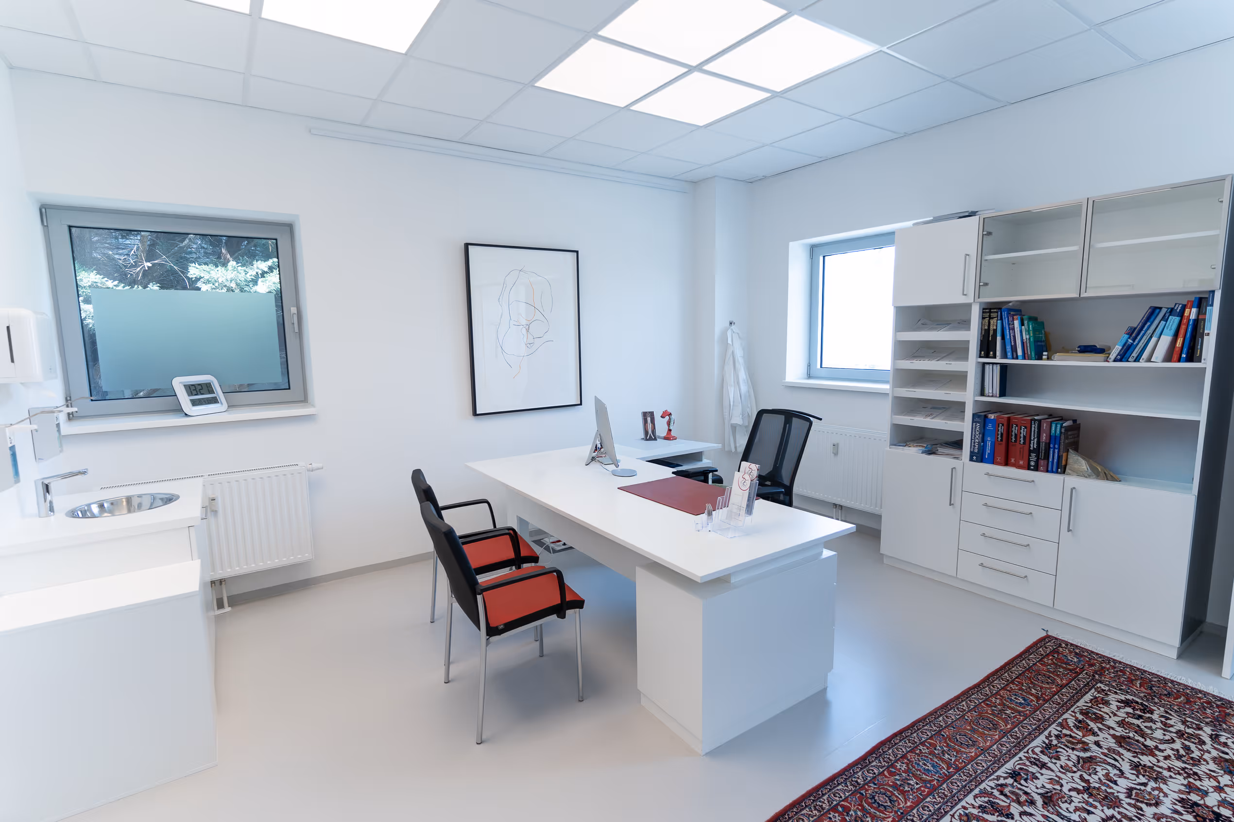 Modernes, sauberes weißes Büro mit Schreibtisch, zwei Stühlen, Bücherregal, zwei Fenstern und Teppich.