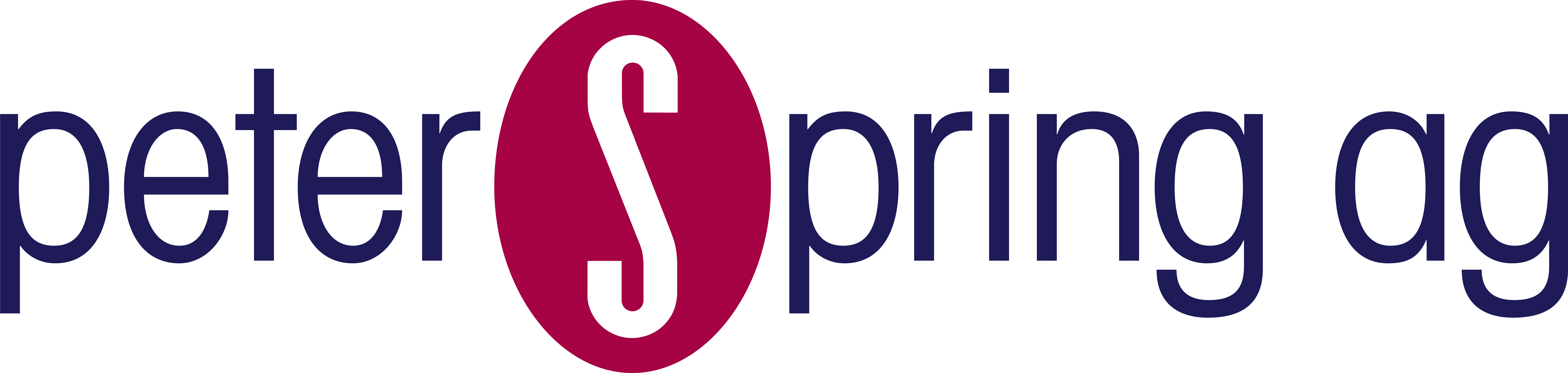 Peter Spring AG