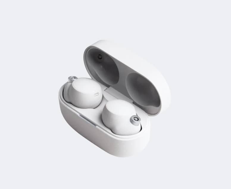 Earphones
