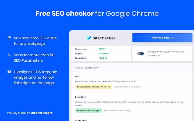 Sample data report shown from Free SEO Checker plugin