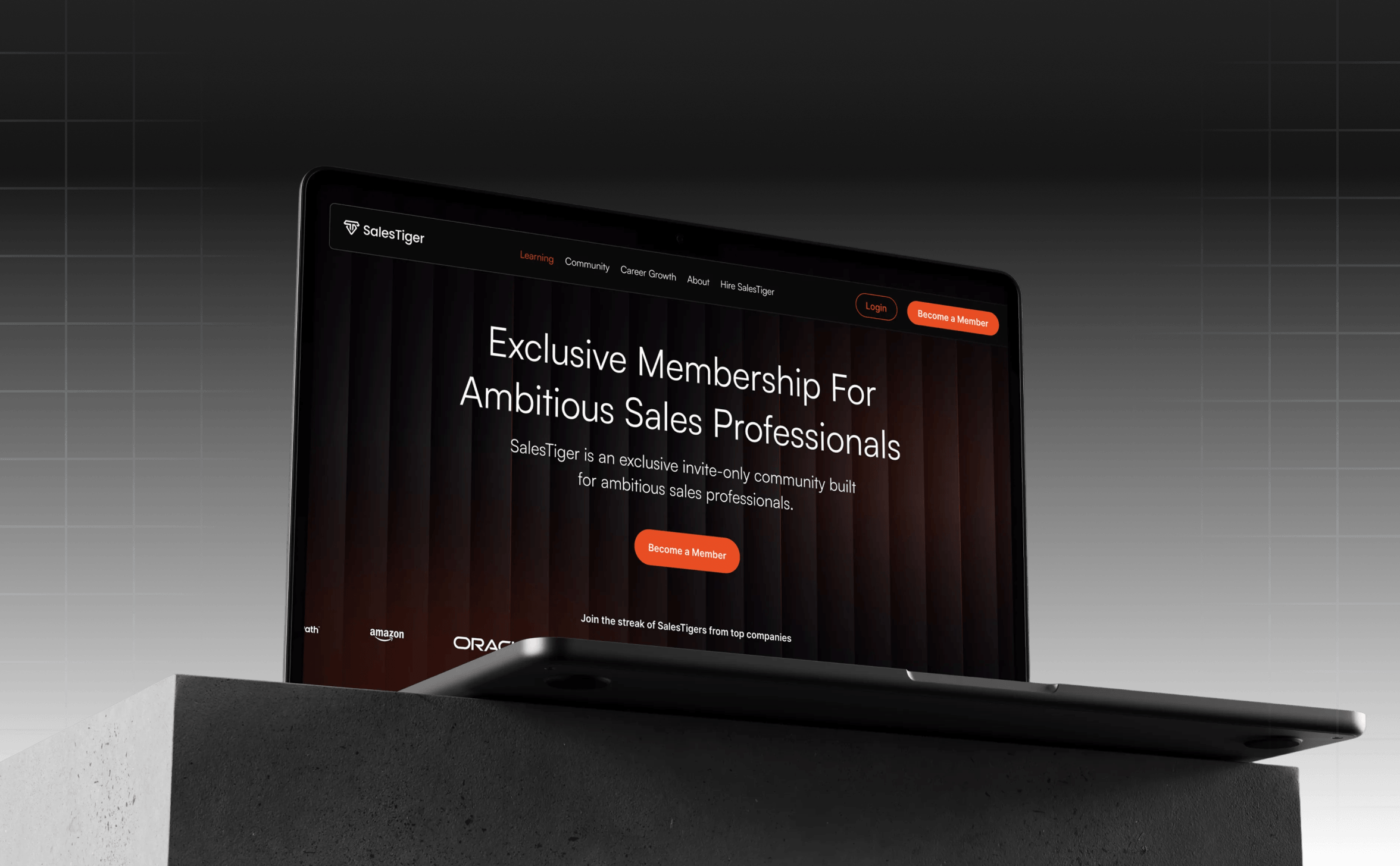 SalesTiger Case Study by Minute Creative