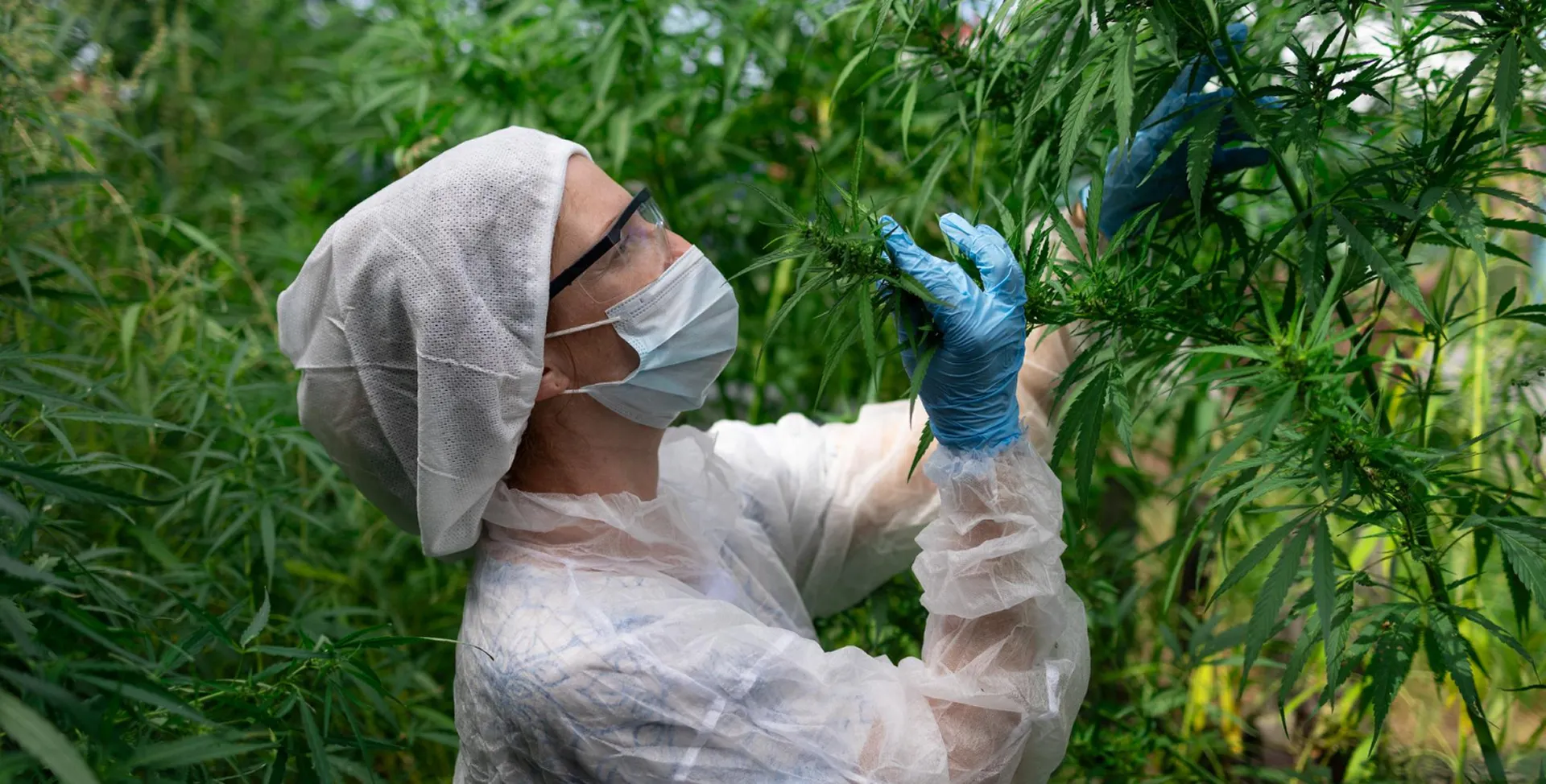 Best practices for applying pesticides effectively