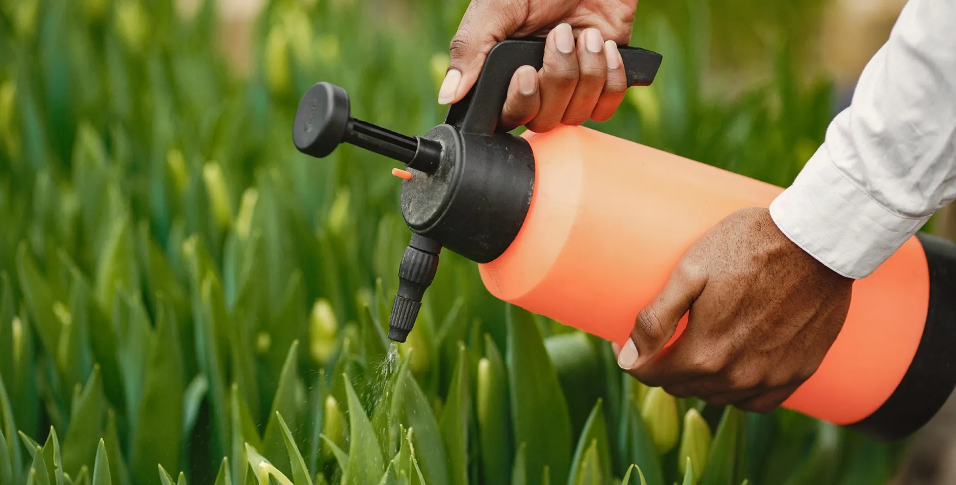 Best practices for effective pesticide application