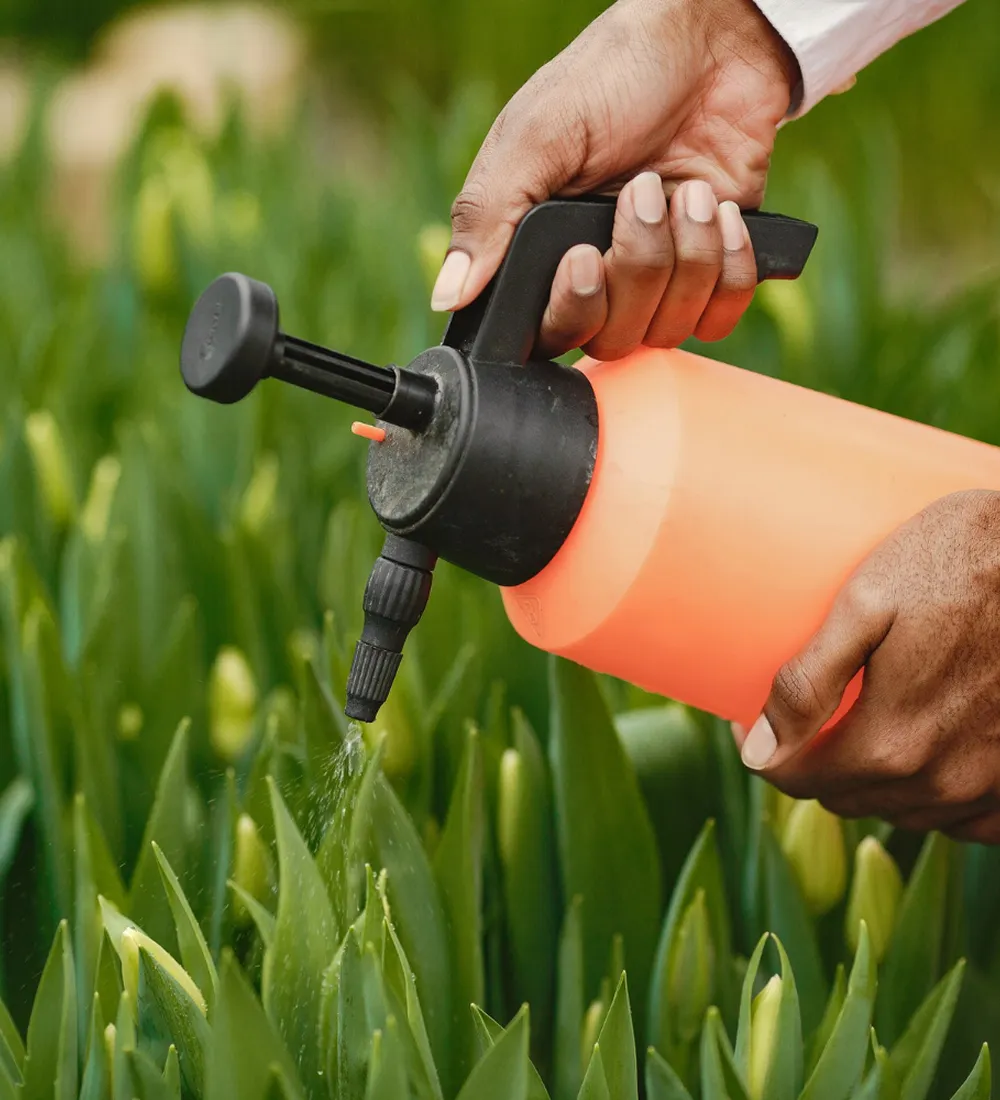 Best practices for effective pesticide application