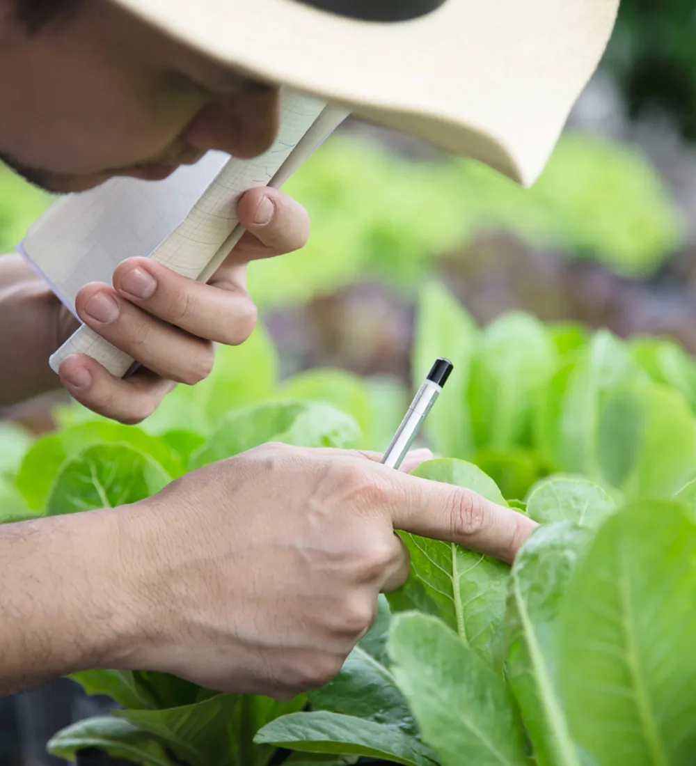 Top pest control strategies for high yield farming