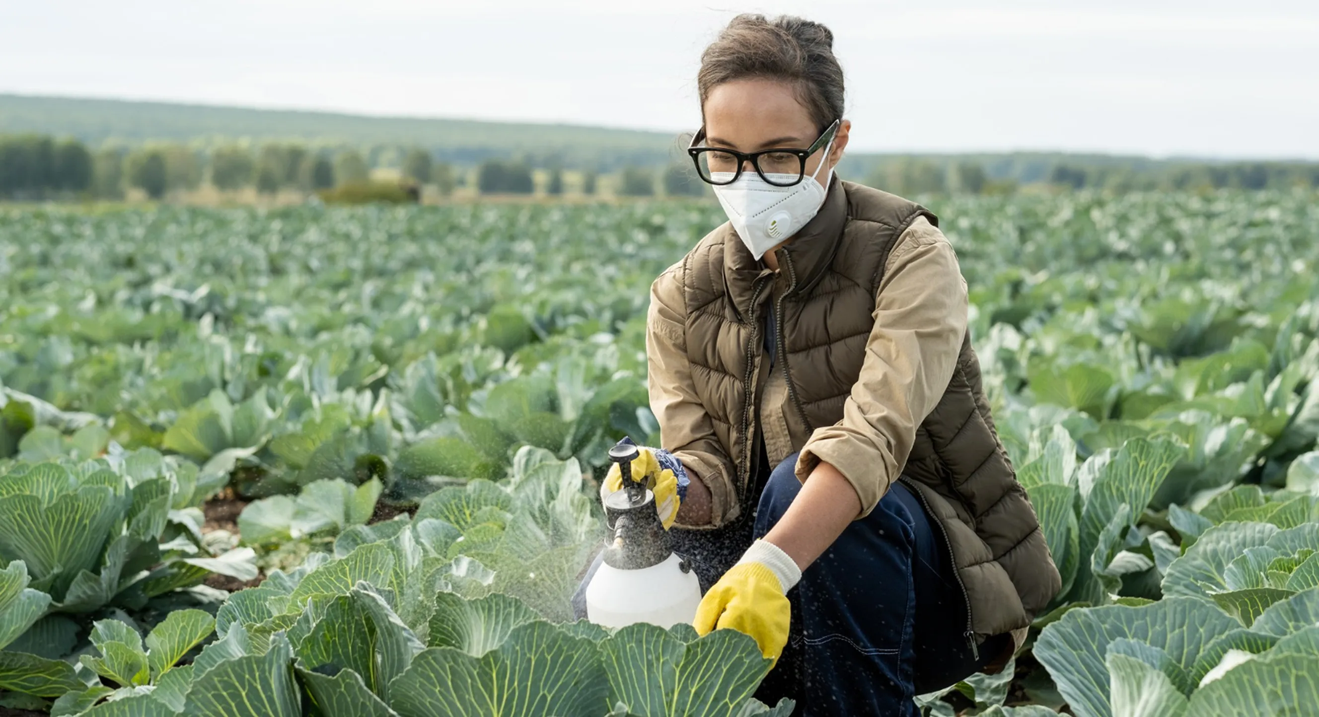Preventing fungal disease in vegetables