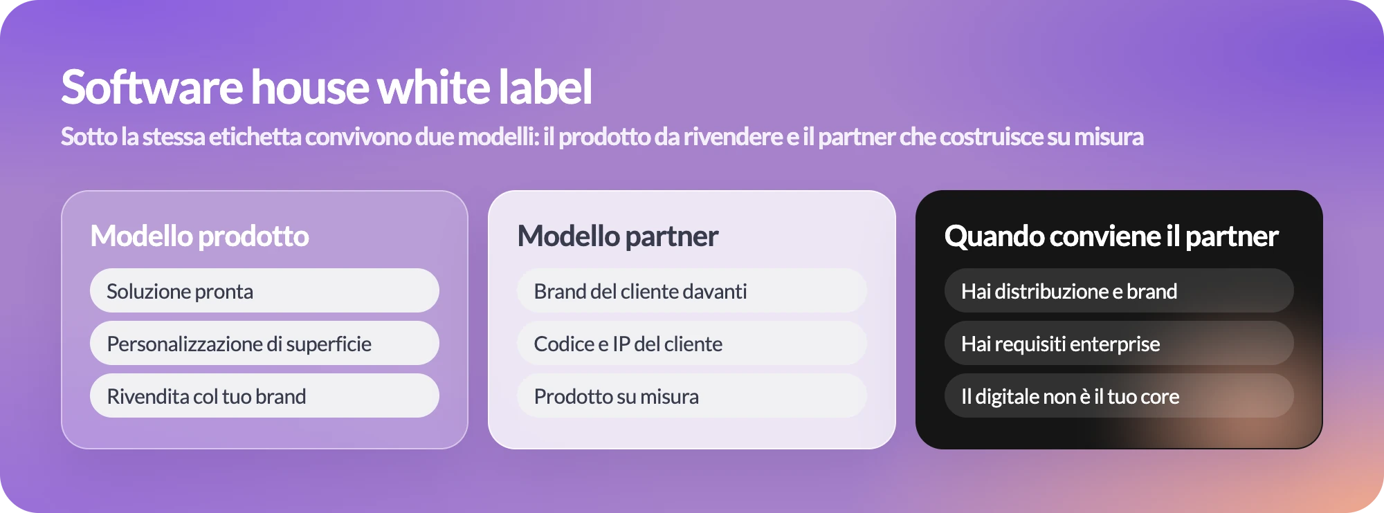 Software house white label: modello prodotto, modello partner e quando conviene il partner